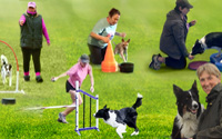 Plan a WOW Winter for Your Agility Dog - A Training Summit